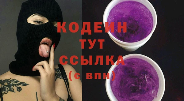 трава Коряжма
