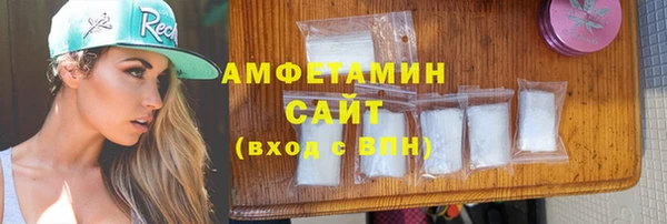 трава Коряжма