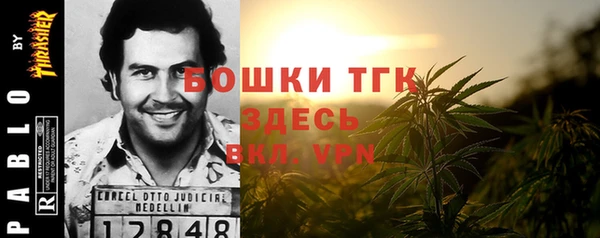 крисы Корсаков