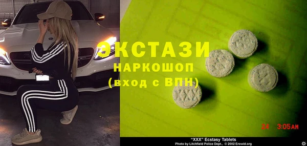 крисы Корсаков