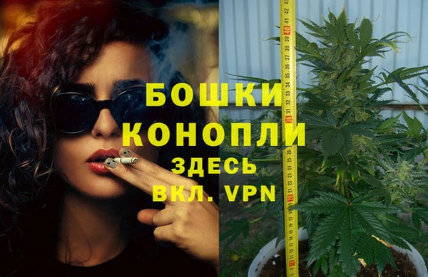 крисы Корсаков