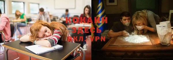 крисы Корсаков