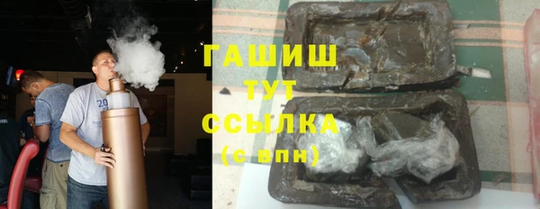 крисы Корсаков