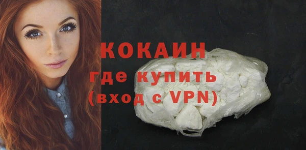крисы Корсаков
