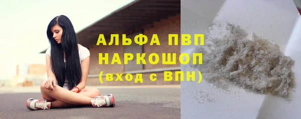 крисы Корсаков