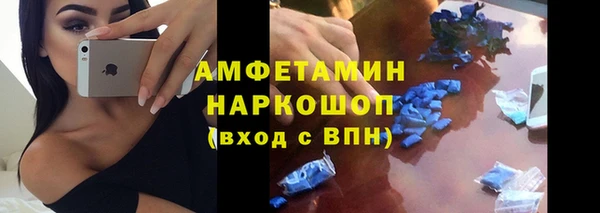 крисы Корсаков