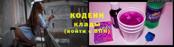 трава Коряжма