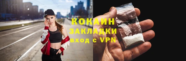 трава Коряжма