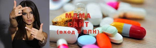 крисы Корсаков