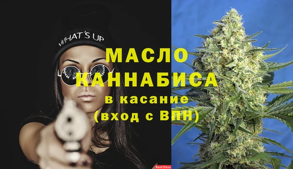 крисы Корсаков