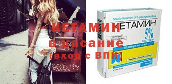 крисы Корсаков