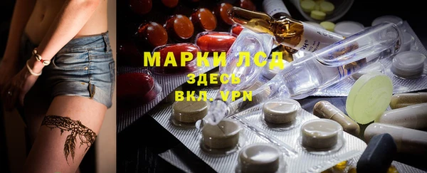 трава Коряжма