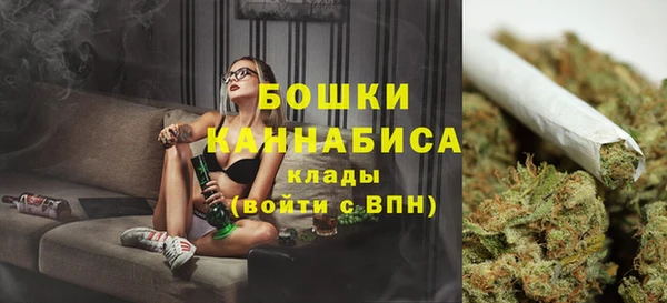 крисы Корсаков