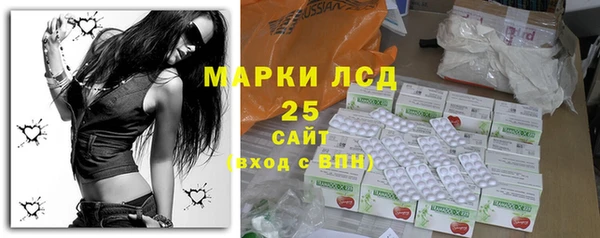 крисы Корсаков