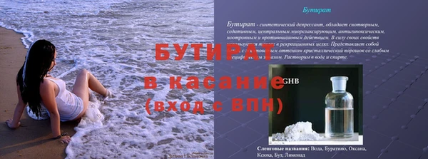 крисы Корсаков
