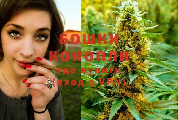 крисы Корсаков