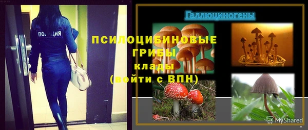 трава Коряжма