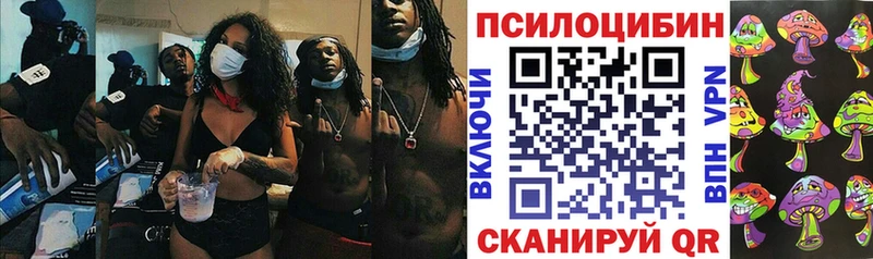 Купить закладки  Махачкала  Псилоцибиновые грибы GOLDEN TEACHER 